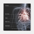 Recherche de coeur humain magnets Les gens