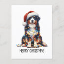 Recherche de le berger australien cartes postales Dog