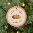 Search for pumpkin ornaments vintage