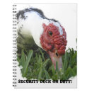 Search for securely photography Black