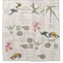 Search for sea turtle shower curtains Fish