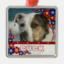 Search for dog frame ornaments Pets