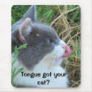 Search for hanks Cats