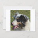 Recherche de merle bleu cartes postales Dog