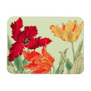 Search for parrot magnets Floral