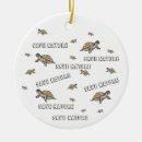 Search for turtle ornaments Nature
