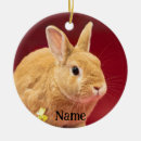 Search for bunny rabbit ornaments Animals