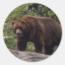 Search for papa bear stickers Wildlife