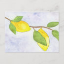 Recherche de encre et lavage cartes postales Aquarelle