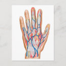 Recherche de dorsaux posters Transparent