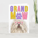 Search for funny grandparent cards Grandma