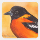 Search for baltimore oriole stickers Bird