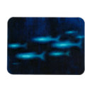 Search for translucent magnets Blue