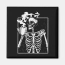 Search for hal magnets Skeleton
