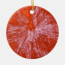 Search for paintball decor Fun