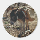 Recherche de maroc magnets Médina