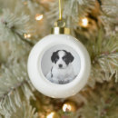 Search for pet name ornaments Cat lover