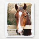 Search for chestnut mousepads Farm animal