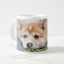 Search for queens corgi mugs Pembroke welsh corgi