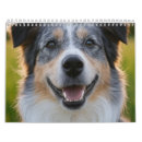 Recherche de animal calendriers Chien