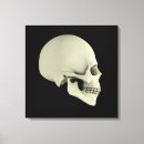 Recherche de temporal Médecine