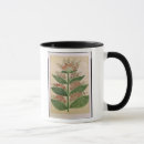 Search for imaginary mugs School