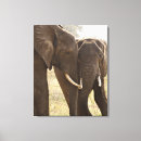 Search for front view art Three quarter length