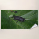 Search for bug beach towels Beetles
