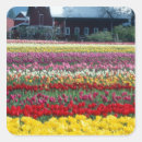 Search for county stickers Yellow