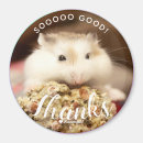 Search for white goods magnets Positivity