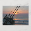 Search for dawn sky postcards Sunset