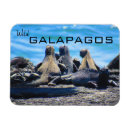 Recherche de iguane magnets Faune