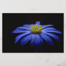 Search for daisy stationery paper Daisies