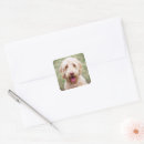 Search for goldendoodle puppy stickers Pet