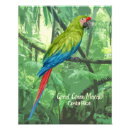 Recherche de perroquet vert posters Jungle