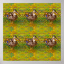 Search for abstract sketch posters Animal