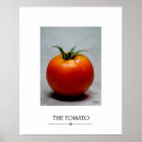 Search for tomatoes posters Fruit