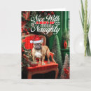 Search for frenchie christmas cards Pets