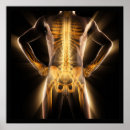 Search for scan art Medical