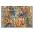 Search for sky blue table cards Clouds