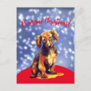 Search for sausage dog postcards Animal