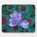 Search for aleutians electronics Foliage