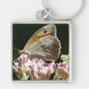 Search for butterfly pictures keychains Nature photography