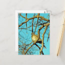 Recherche de colombe mignonne cartes postales Faune