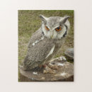 Recherche de aigle noir puzzles Blanc