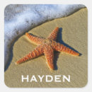 Search for starfish stickers Sand
