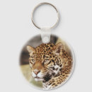 Search for jaguar keychains Wild