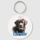Search for labrador retriever keychains Chocolate lab