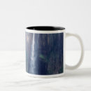 Search for falling water mugs River