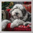 Search for old english sheepdog art Dog mom